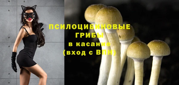 MDMA Premium VHQ Медвежьегорск