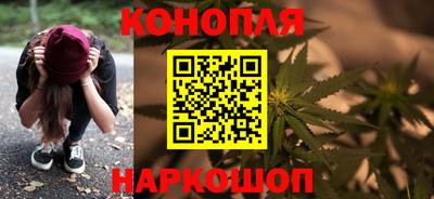 индика Аргун