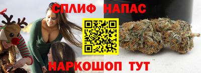 индика Аргун
