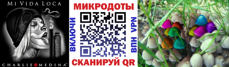 где купить наркоту  Татарск  Галлюциногенные грибы Psilocybine cubensis 