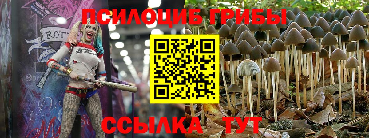 Псилоцибиновые грибы Magic Shrooms  Псилоцибиновые грибы мухоморы  Татарск 