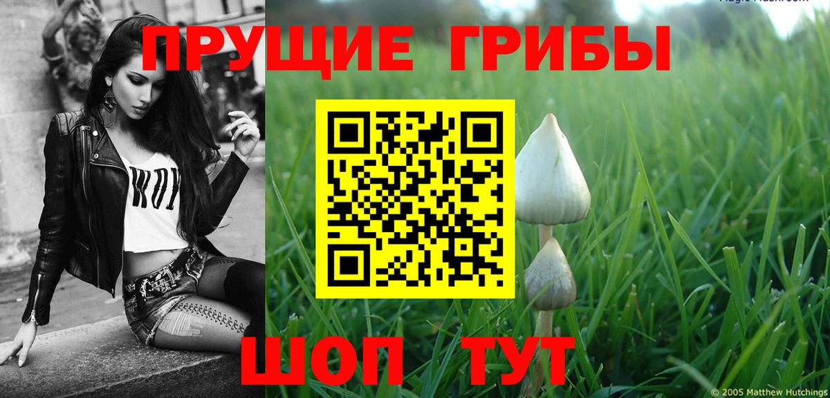 Галлюциногенные грибы Psilocybine cubensis Татарск